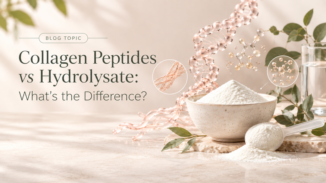 Collagen Peptides vs Hydrolysate: Which One Should You Take?