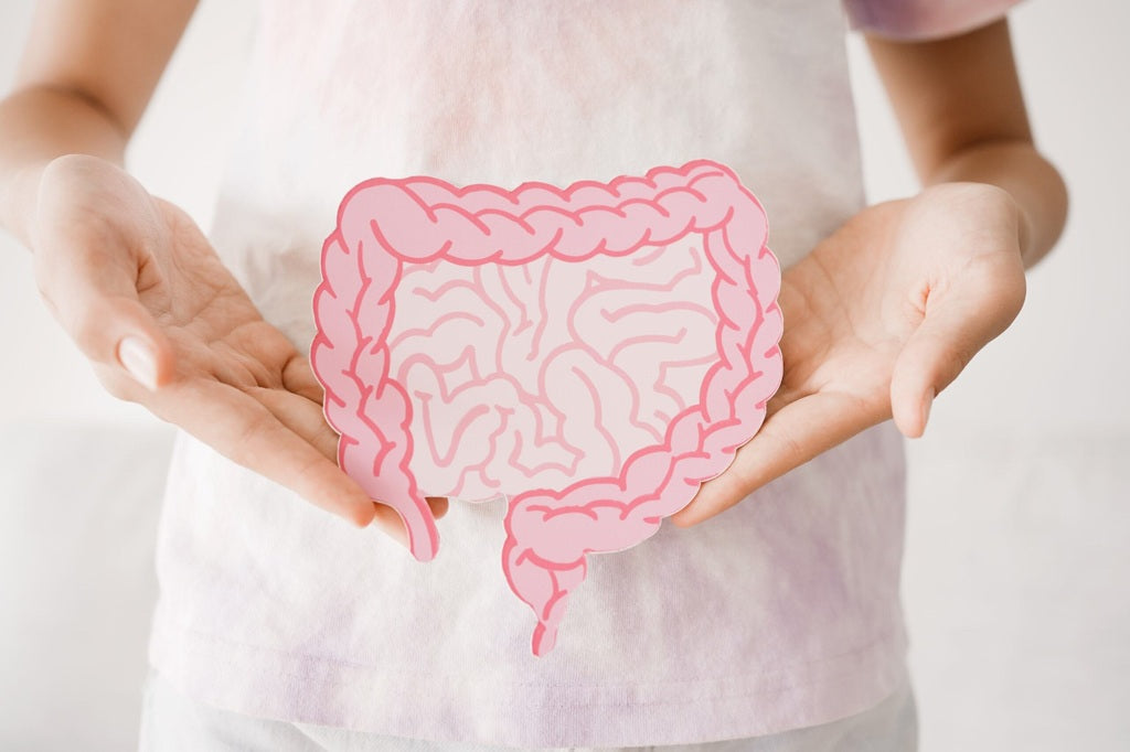Gut Health