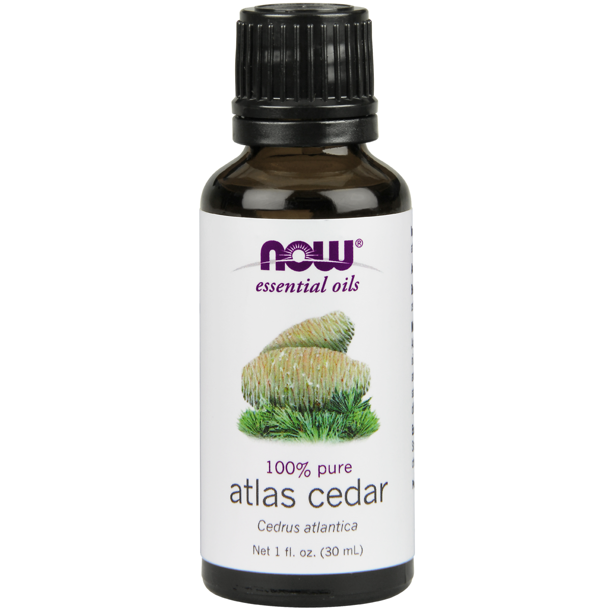 Atlas Cedar Oil 30ml (Cedrus Atlantica)