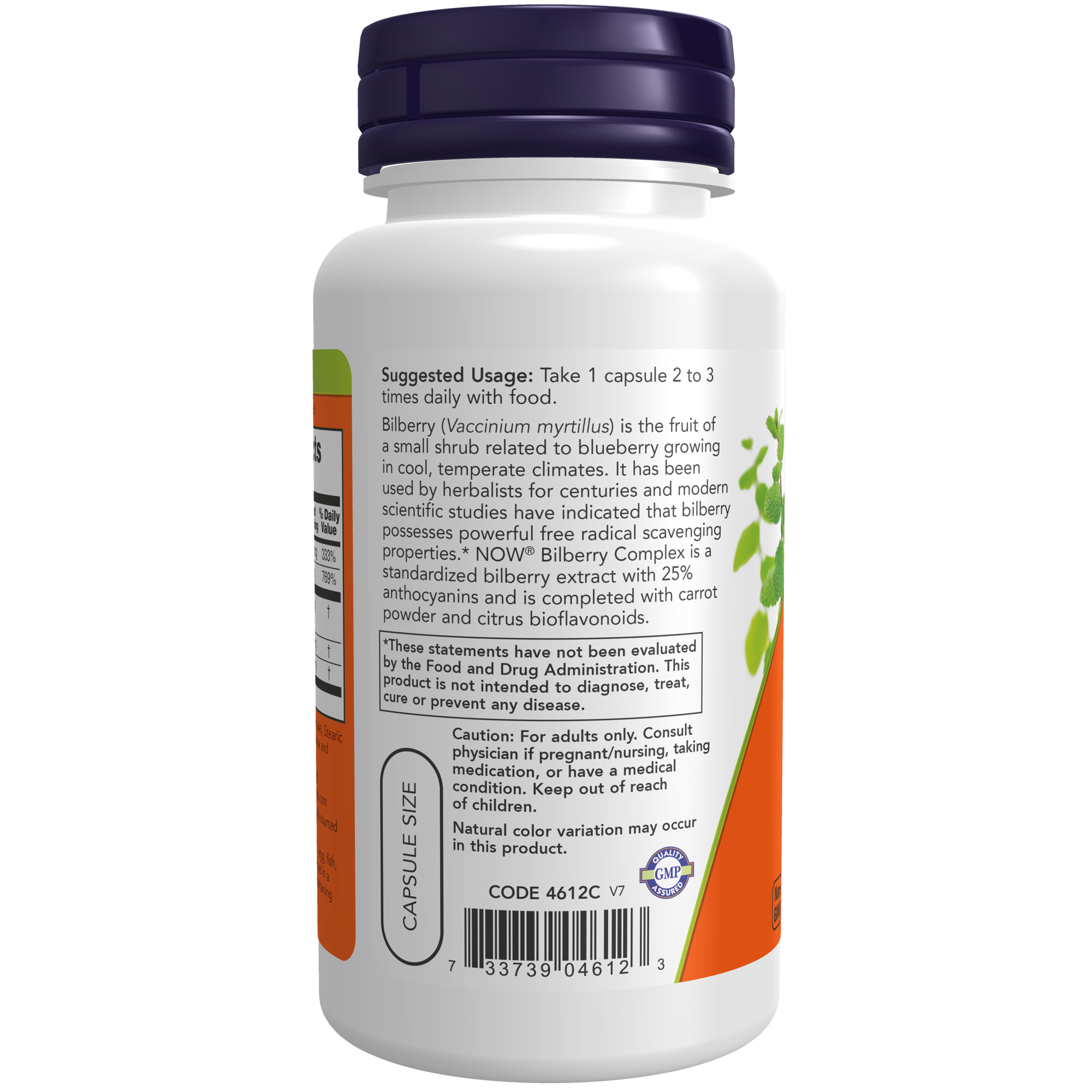 Bilberry Complex 80mg 100VC