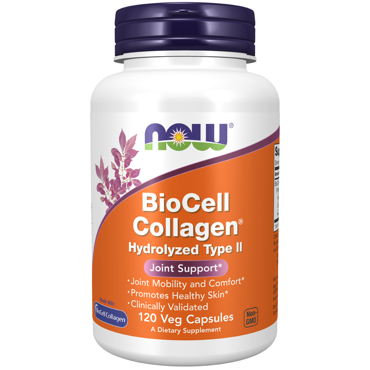 BioCell Collagen Hydrolyzed Type 2 120VC