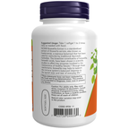 Boswellia Extract, 500 mg 90SG