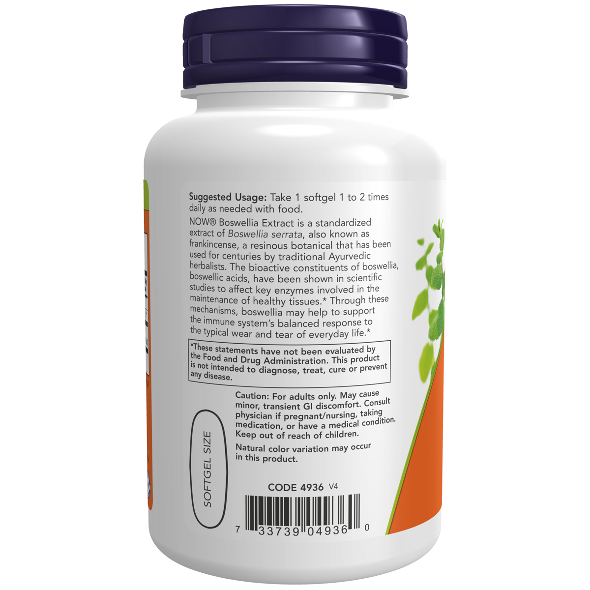 Boswellia Extract, 500 mg 90SG