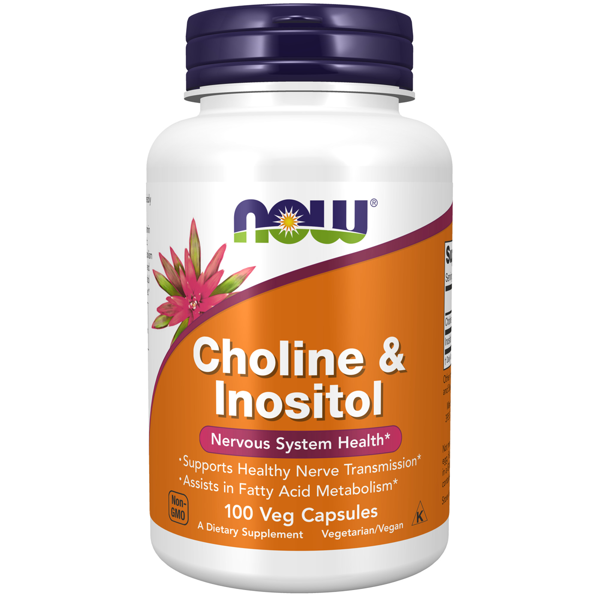 Choline & Inositol 500 mg 100C