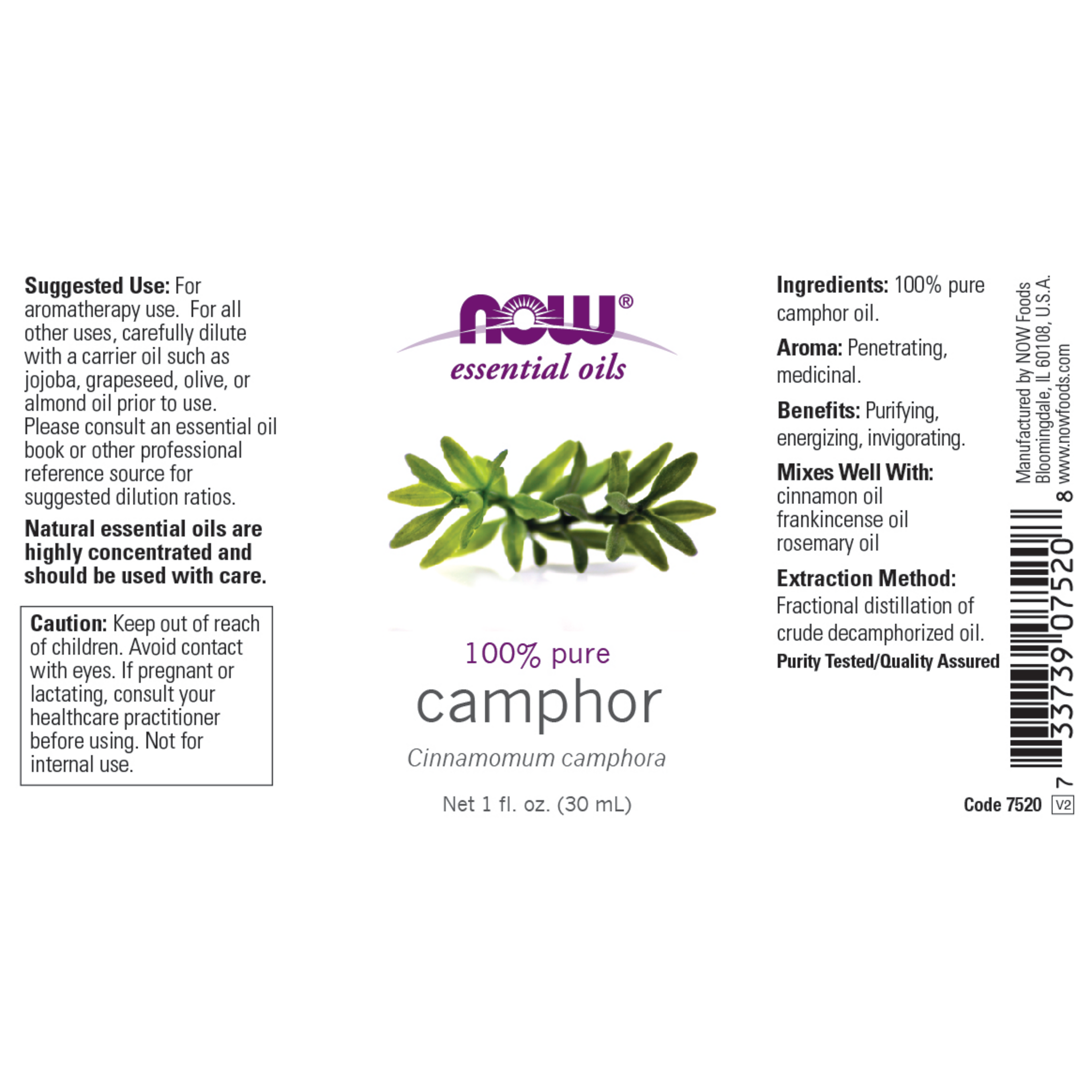 Camphor Oil 100% Pure 30ml (Cinnamomum Camphora)