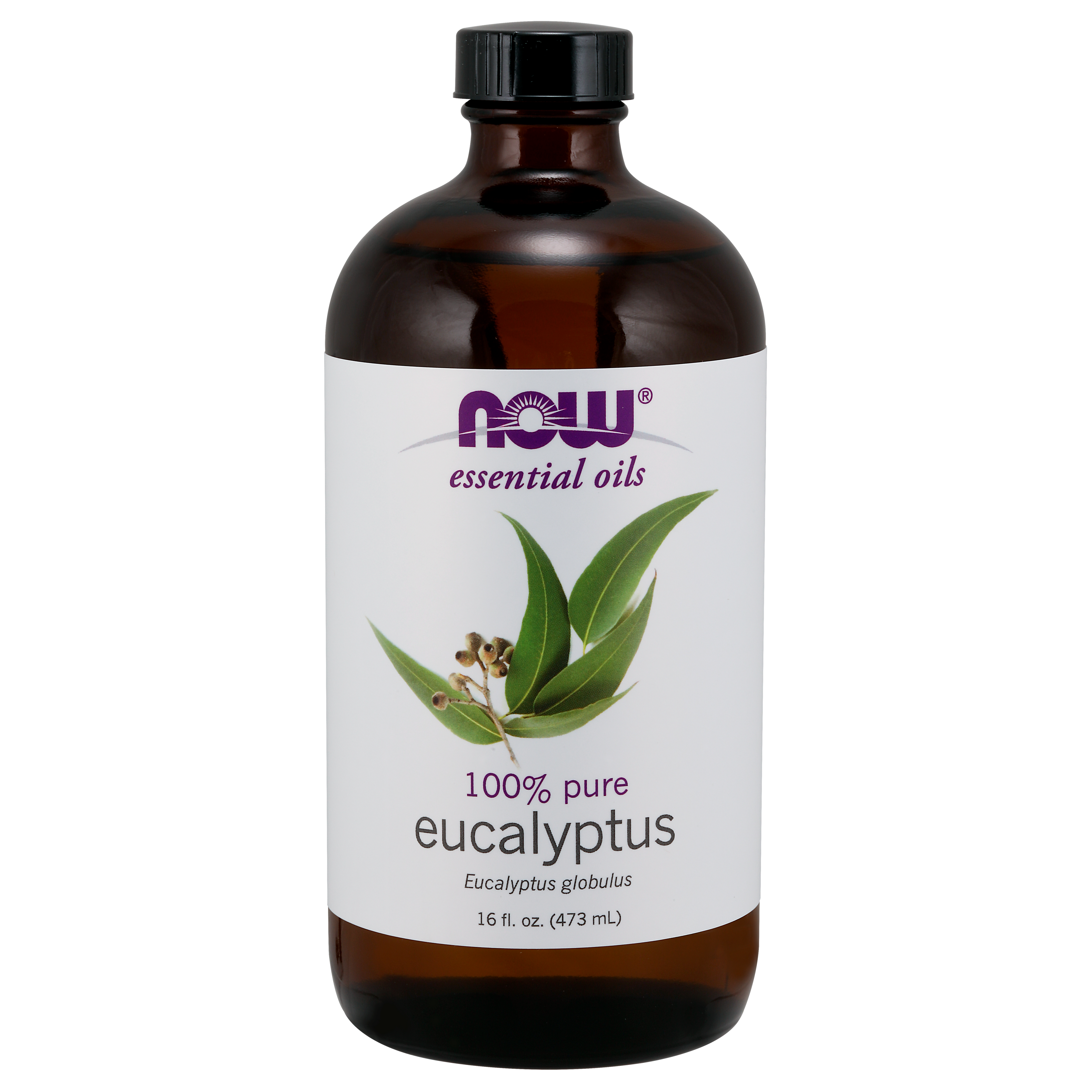 Eucalyptus Oil (Globulus) 100% Pure 30ml, 59ml, 118ml & 473ml