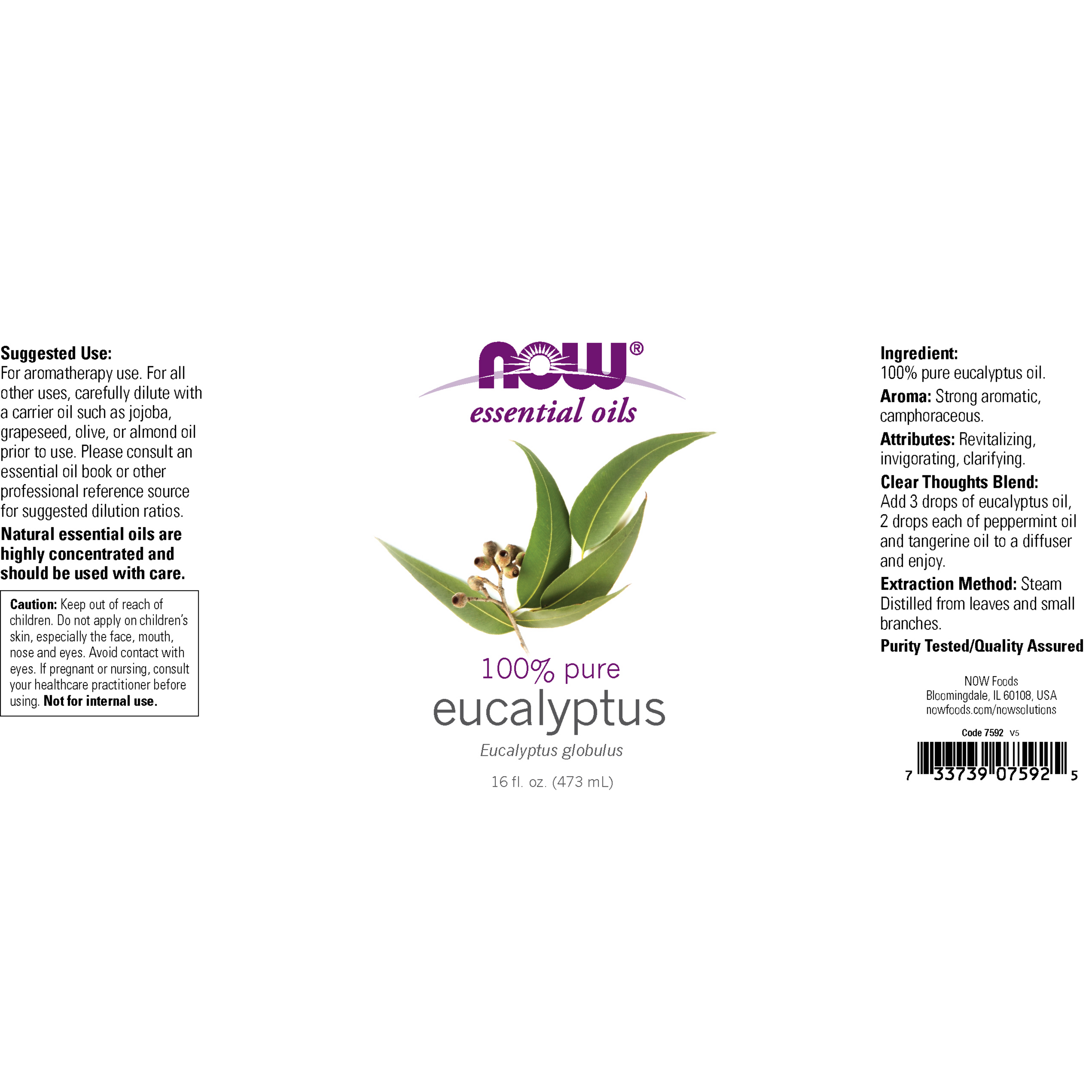 Eucalyptus Oil (Globulus) 100% Pure 30ml, 59ml, 118ml & 473ml