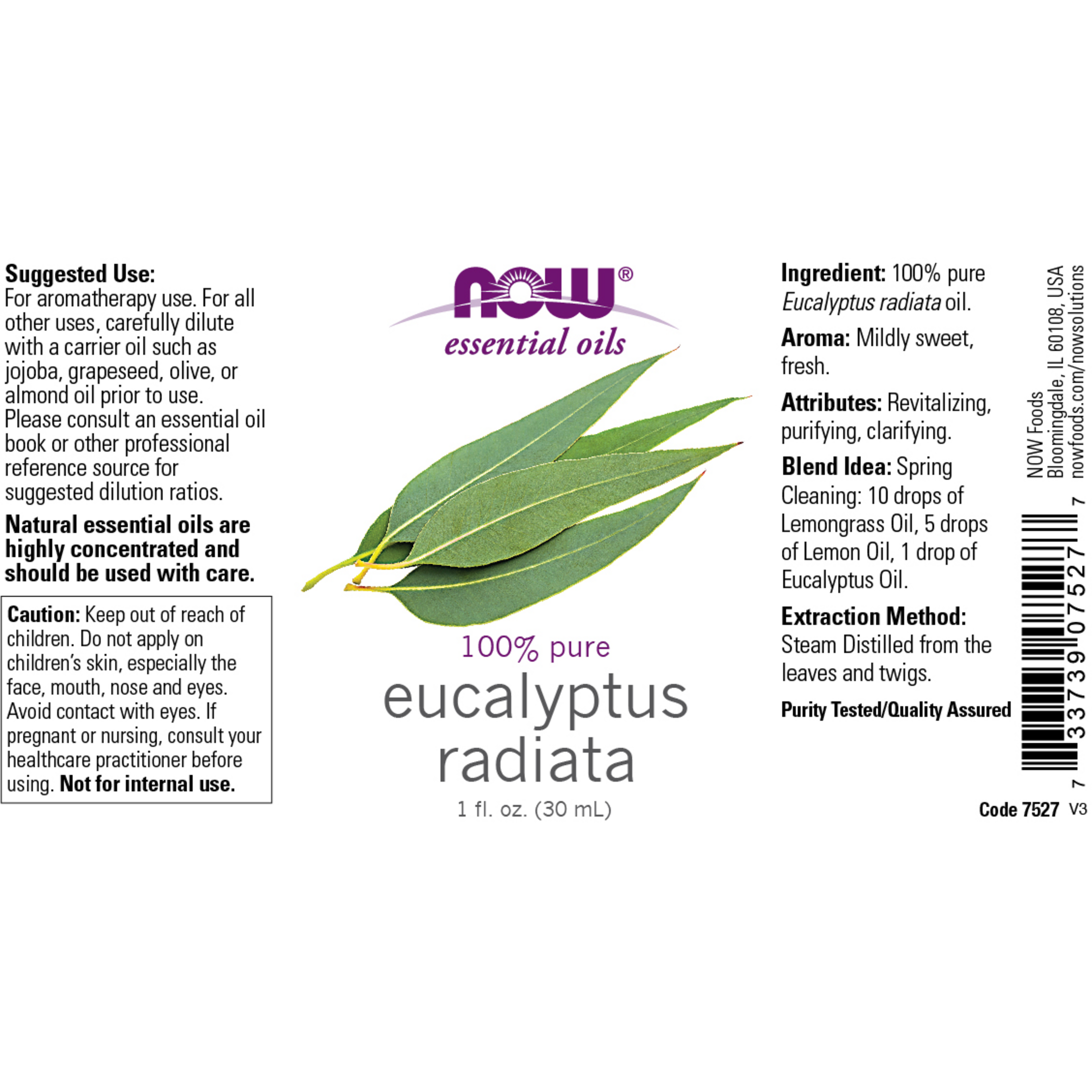 Eucalyptus Radiata Oil 100% Pure 30ml (Eucalyptus Radiata)