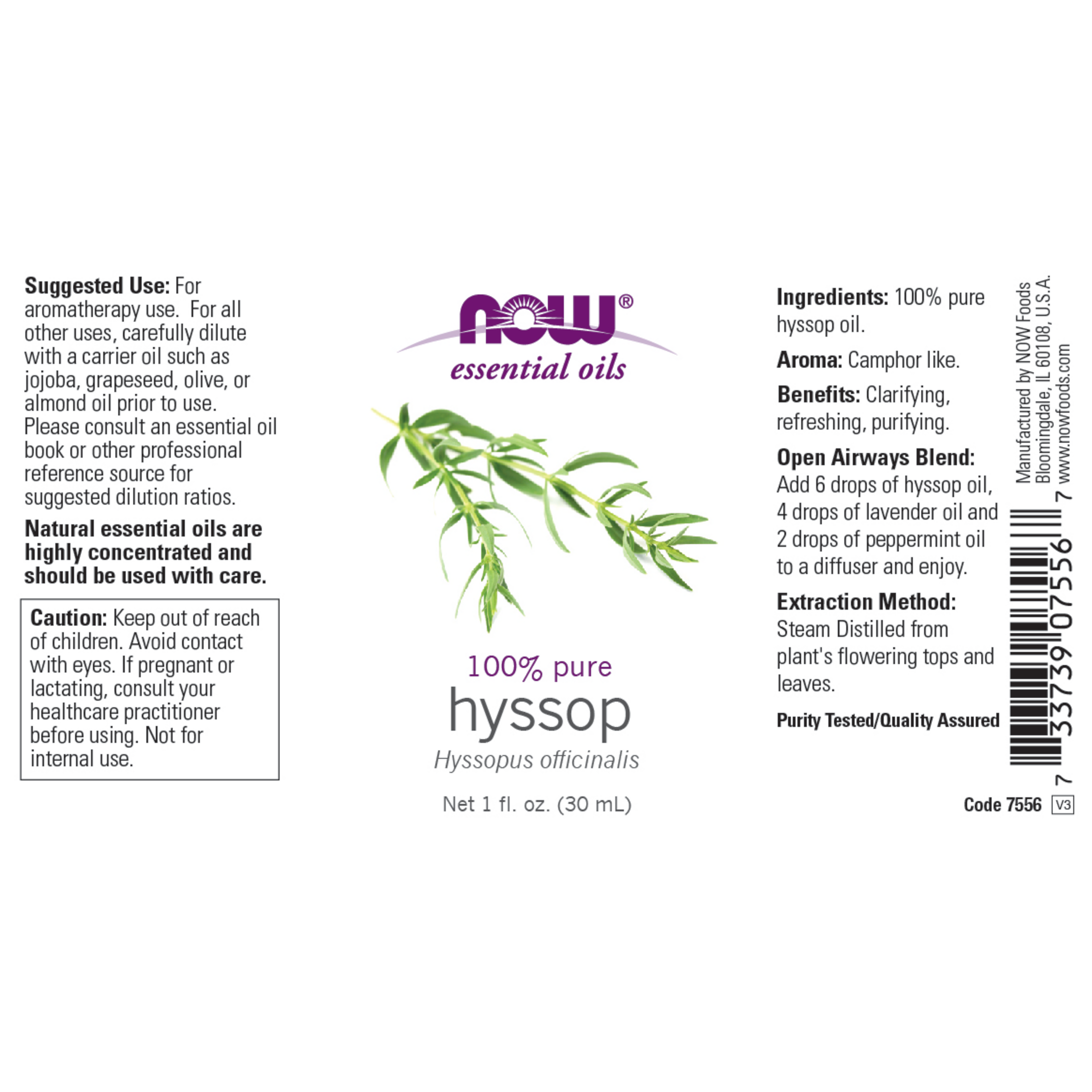 Hyssop Oil 100% Pure 30ml (Hyssopus Officinalis)