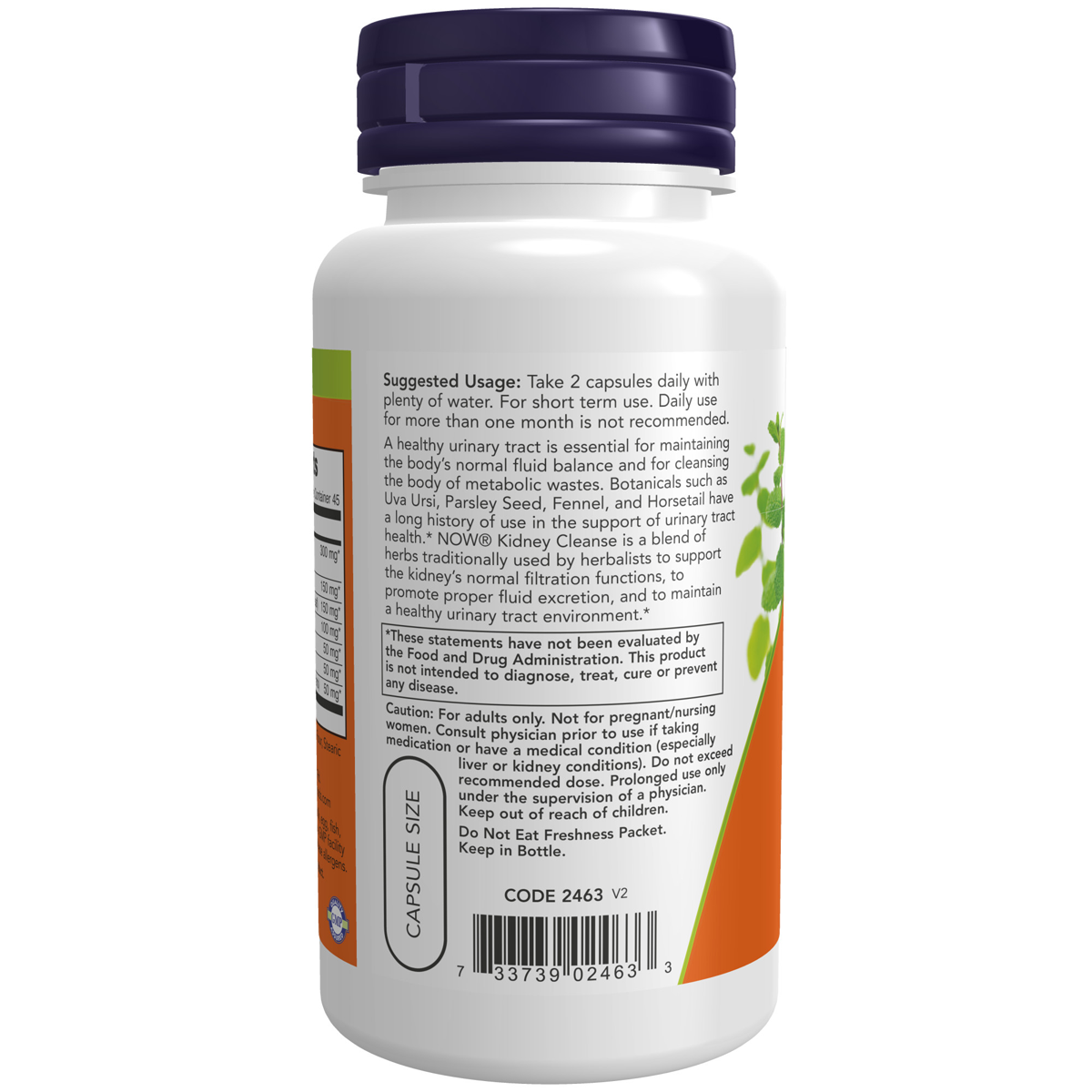 Kidney Cleanse 90VC