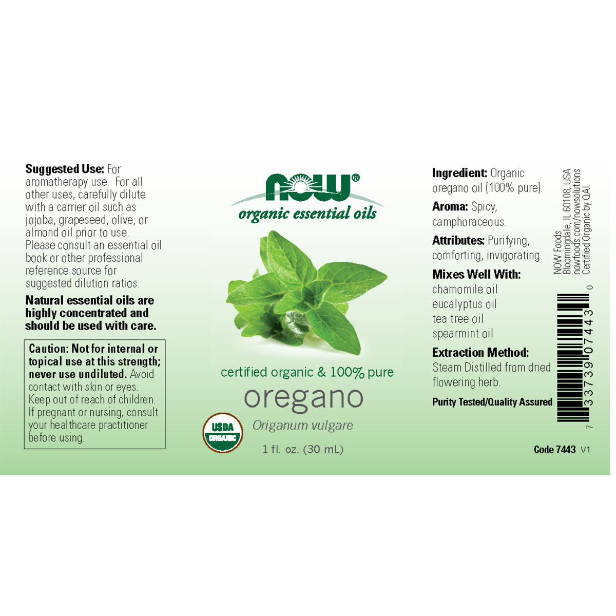 Oregano Oil 30ml (Origanum Vulgare)