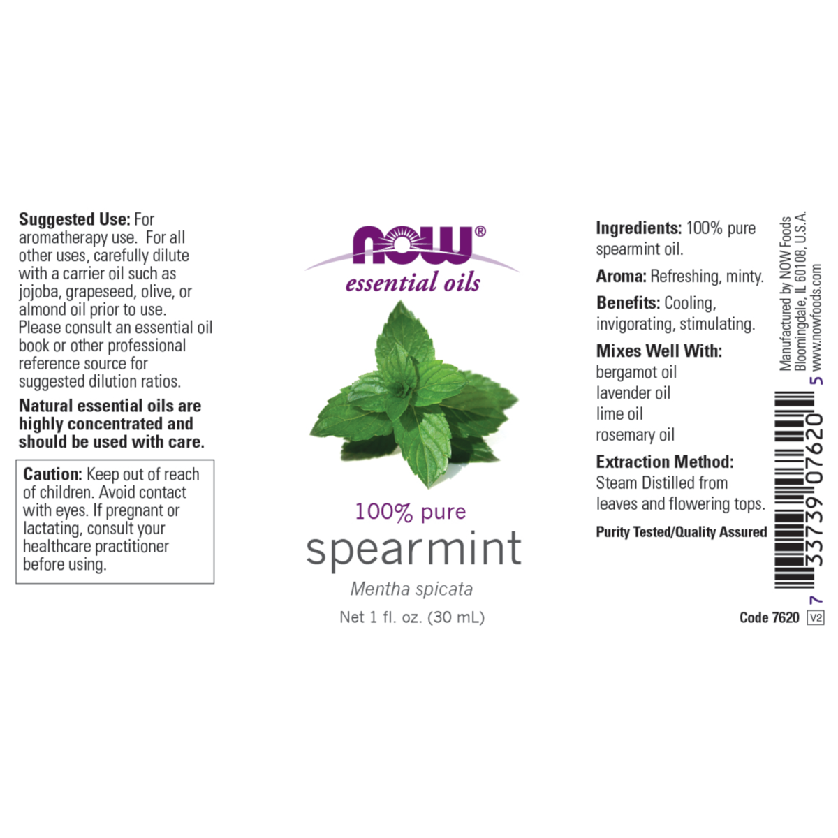Spearmint Oil 30ml (Mentha Spicata)