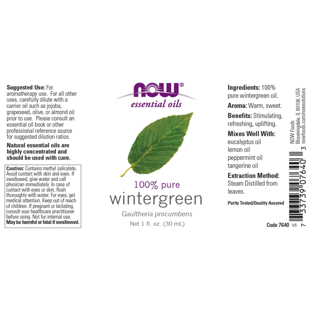 Wintergreen Oil 30ml (Gaultheria procumbens)
