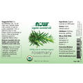 ROSEMARY OIL (Rosmarinus Officinalis)