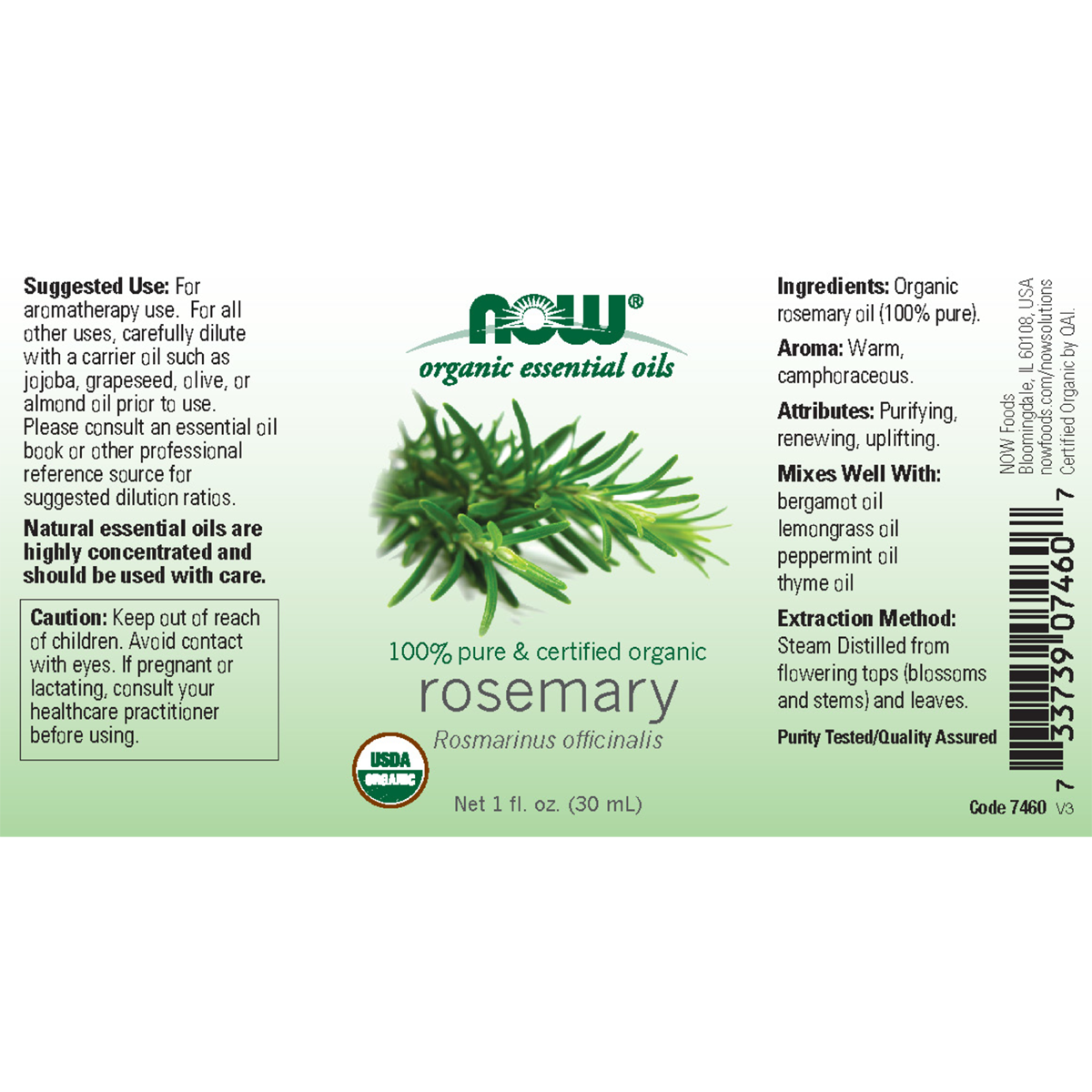 ROSEMARY OIL (Rosmarinus Officinalis)